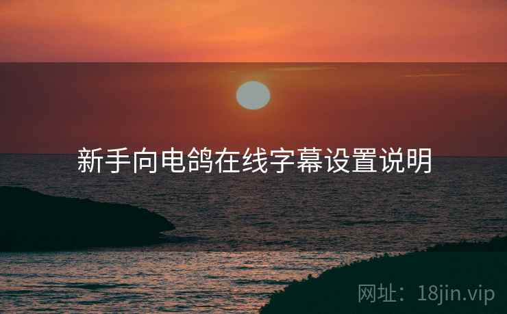 新手向电鸽在线字幕设置说明