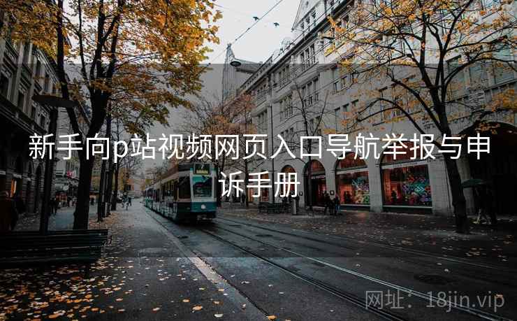 新手向p站视频网页入口导航举报与申诉手册 新手向p站视频网页入口导航举报与申诉手册