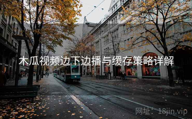 木瓜视频边下边播与缓存策略详解