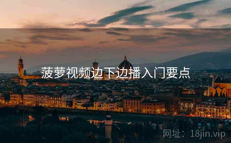 菠萝视频边下边播入门要点