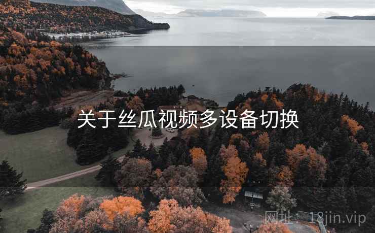 关于丝瓜视频多设备切换