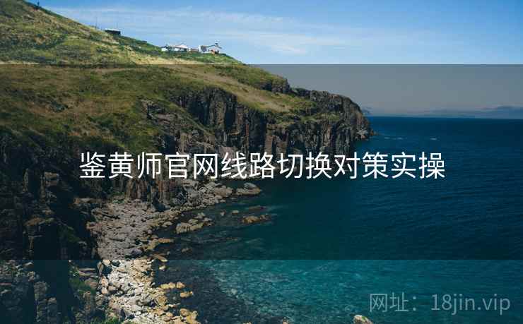 鉴黄师官网线路切换对策实操