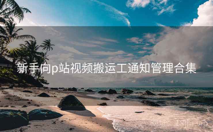 新手向p站视频搬运工通知管理合集