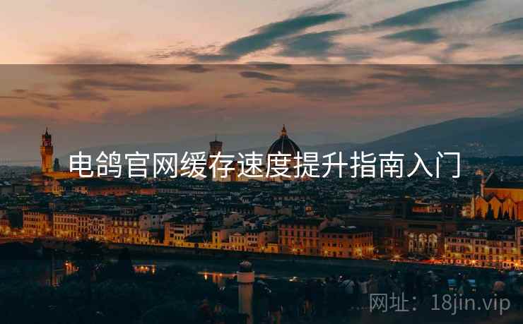 电鸽官网缓存速度提升指南入门