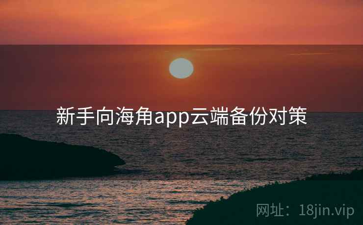 新手向海角app云端备份对策