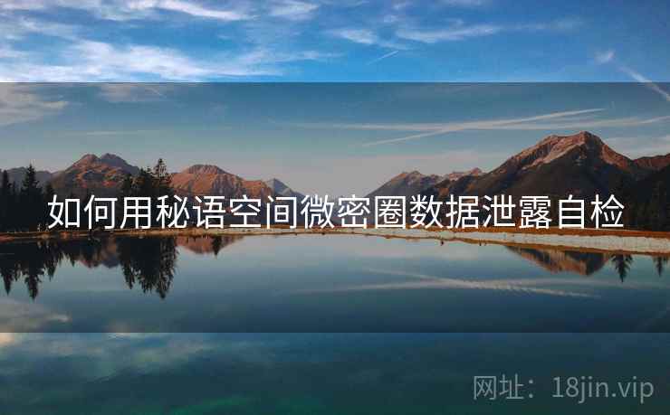 如何用秘语空间微密圈数据泄露自检