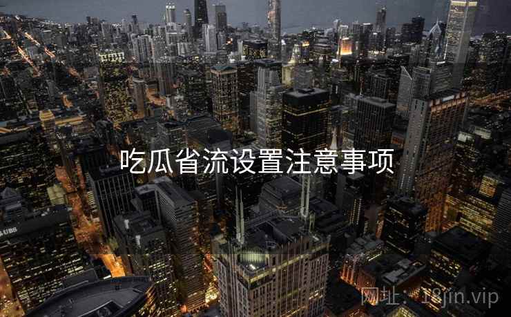 吃瓜省流设置注意事项