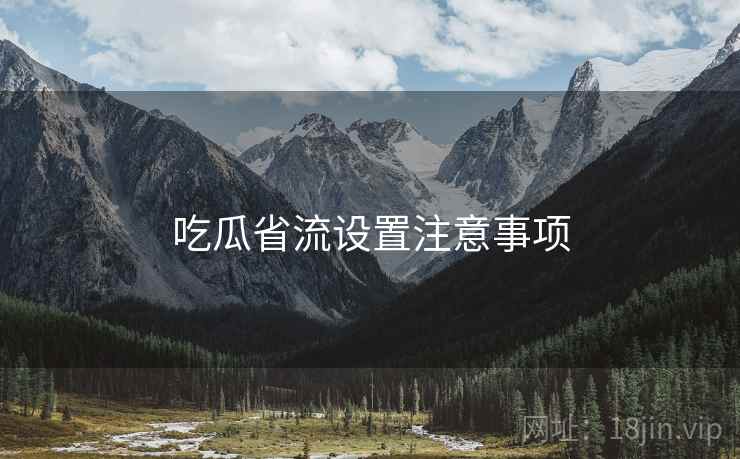 吃瓜省流设置注意事项