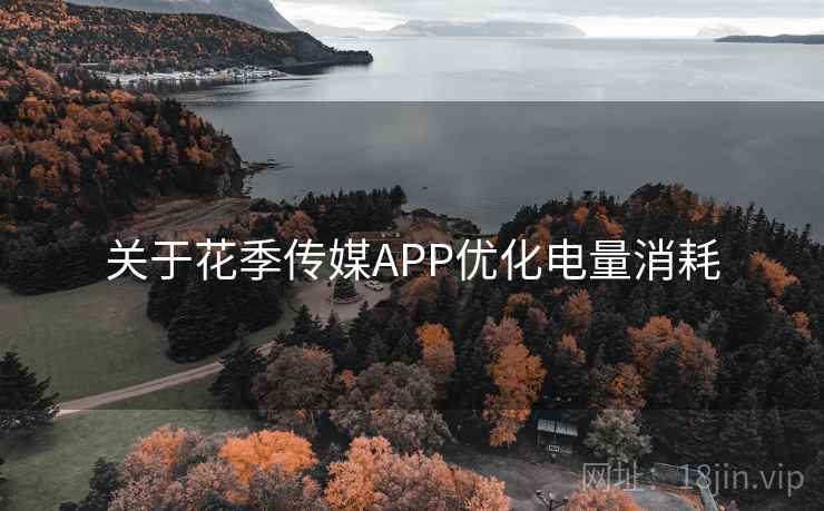 关于花季传媒APP优化电量消耗