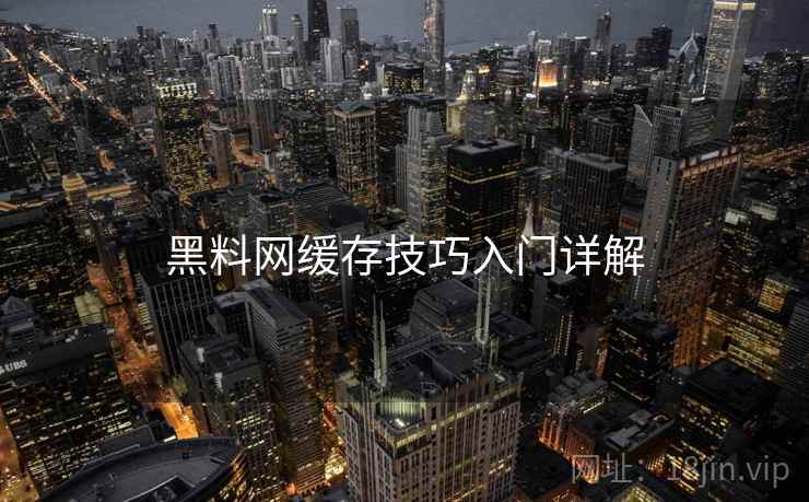 黑料网缓存技巧入门详解