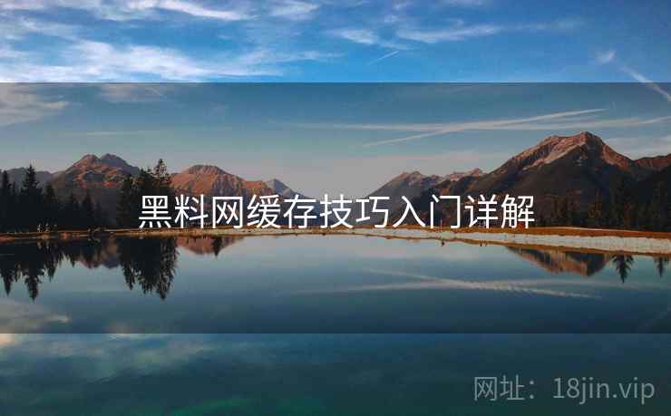 黑料网缓存技巧入门详解
