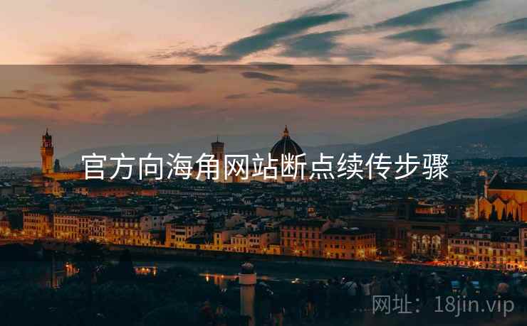 官方向海角网站断点续传步骤