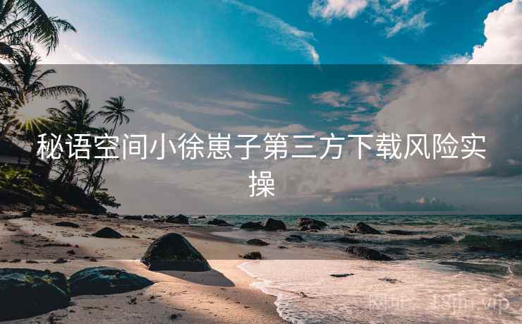 秘语空间小徐崽子第三方下载风险实操