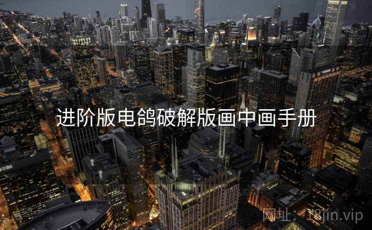 进阶版电鸽破解版画中画手册
