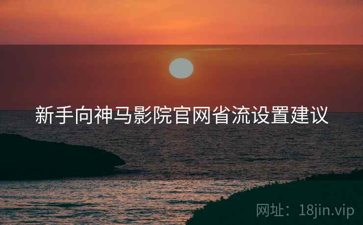 新手向神马影院官网省流设置建议