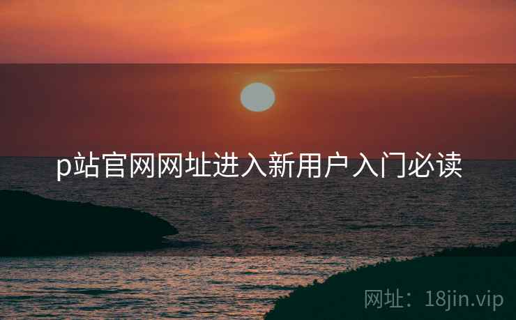 p站官网网址进入新用户入门必读