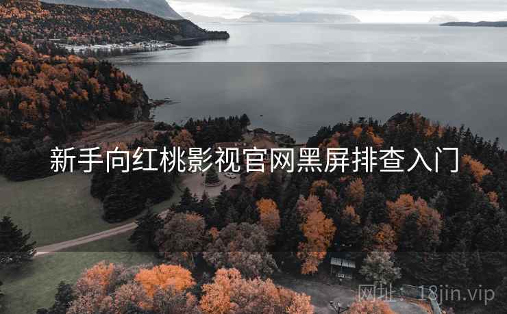 新手向红桃影视官网黑屏排查入门