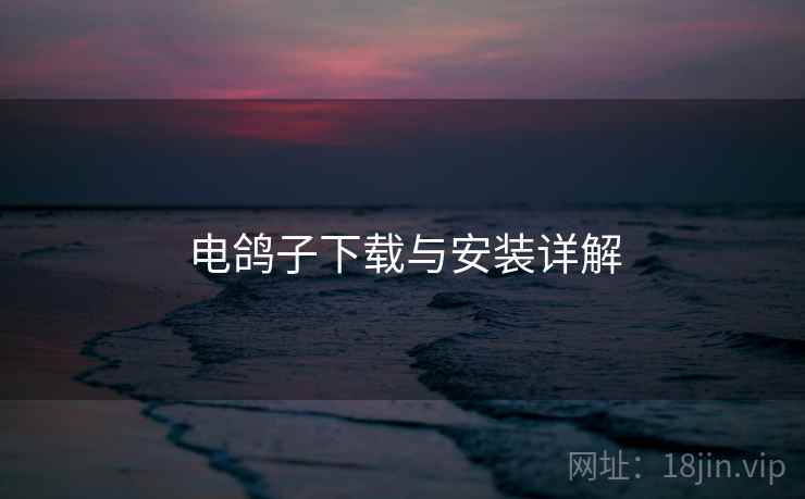电鸽子下载与安装详解